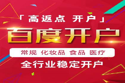 SEM竞价实战：成功案例解析